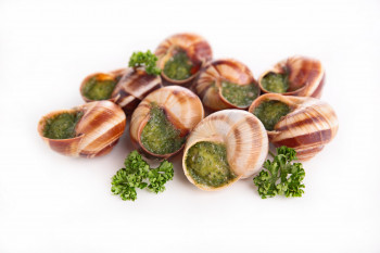 Escargots surg lucorum 5 dzs congelés