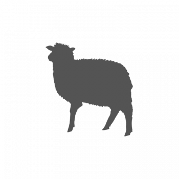 Collet de mouton