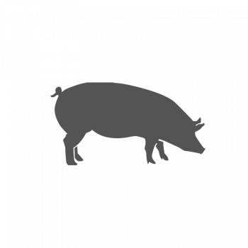  Rôti de porc à la moutarde