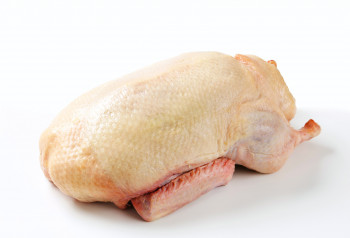 Canard la pièce 3 kg