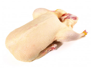 Canette la pièce 2,1kg