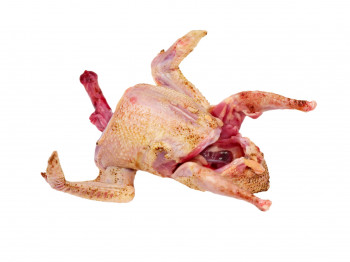 Pigeon la pièce 400 g