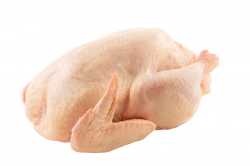 Poule prêt à cuire