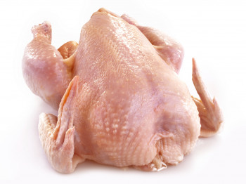 Poule sol